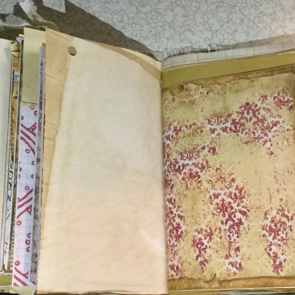 🌺 Distinct Victorian 🌸 Fractsi riella Journal 💮